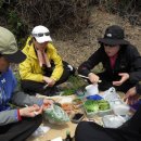 해안코스 이미지