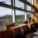 머체왓숲길영농조합 | 제주도 직원연수는 머체왓숲길에서 열리는 제주생태관광 이색워크샵 어떠세요!