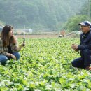 광원농장 이미지