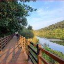 자연공원 이미지