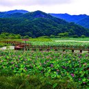 정양늪생명길 이미지