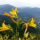 무룡1로R 이미지