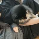 장봐주는언니 일곡점 | 왜이렇게 놀러다녔냐면요!