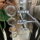 코끼리동물병원 | 전주 강아지 건강검진 동물병원 비용 주기 상담 후기 (올리몰스, 코끼리동물병원)