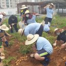 박문중학교 이미지