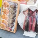 생생오징어 이미지