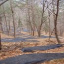 인지농장 이미지