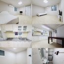 백양대로 이미지