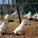 백봉한의원 이미지