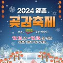 양촌 티스토리