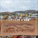 브릿지호텔 | 전주 한옥마을뷰 호텔 추천- 전주 한옥마을 호텔 및 엔브릿지 호텔 후기