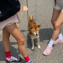(주)라임코어 이미지