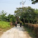 외포리버스터미널 이미지