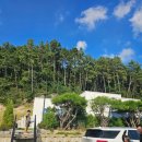 코커스101 | 청주 - &#34;코커스 101&#34; 펜션 :) 스크린골프 + 키즈 + 수영장 + 독채 펜션 *내돈내산 후기