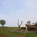 알라딘목장 이미지