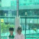 해피주 동물카페 원주점 이미지