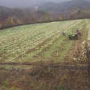 덕장농장 이미지