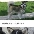 핸드메이드네일