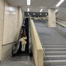 오사카 자유여행 돈키호테 쿠폰 과자 오사카 메가돈키