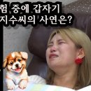 사람은 죽는것이 아니다 ㅡ 전생체험 이미지