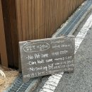 해마루공원로-26 | 구미 트리카페 포토존가득 구포동카페 마리크 뒤늦은 후기