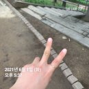 노송고시원 | 6월의 반 이야기
