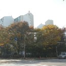 거여5단지 아파트 티스토리