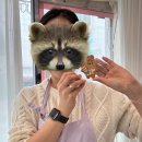 내가 만든 쿠키 이미지