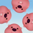 호두과자 이미지