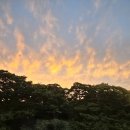 에코랜드수영장 이미지