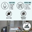 중계씨앤미 이미지