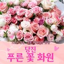 푸른꽃화원 - 춘천시 거두길 209 | 푸른꽃화원