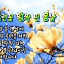 꽃피는봄날 이미지