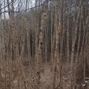 고길동 캠핑장 이미지