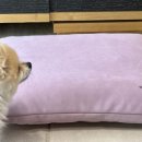 태한세탁 이미지