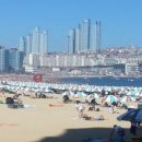 해운대해수욕장 이미지