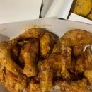 맘스동물약국 이미지