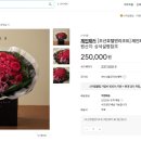 위자드오브오즈 이미지