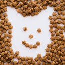 탄방메디칼 이미지