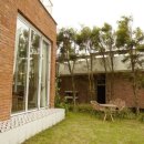 비아라테 이미지