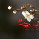 캘리그라피 이미지