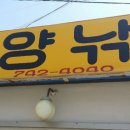 원양 낚시