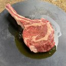 천사봉 오토 캠핑장 이미지