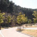세자트라(방문자센터) 이미지