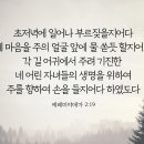 애가