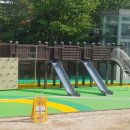 영희초등학교 이미지