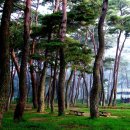 송림여관 이미지