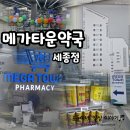 공룡약국 | 메가타운약국 세종점/나성동 마크원애비뉴 A동 대형약국 오픈, 창고형약국이라 저렴하게 구입가능