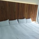 한가로이 경주 이미지