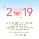 디엠메드 이미지